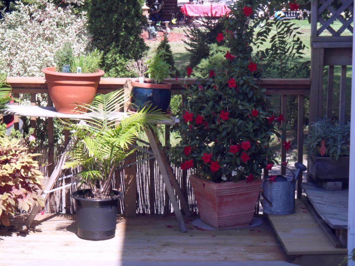 המילטון Homestead House B&B מראה חיצוני תמונה